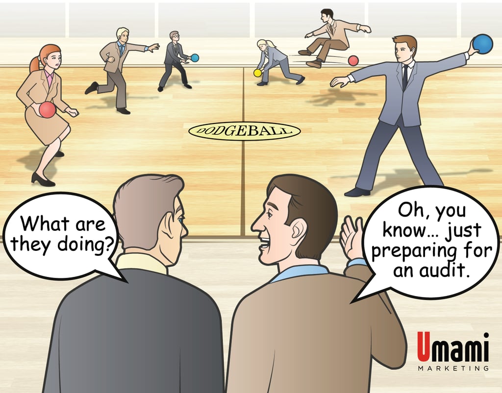 Umami Cartoon - Dodging Surprises During a Technical Audit.png
